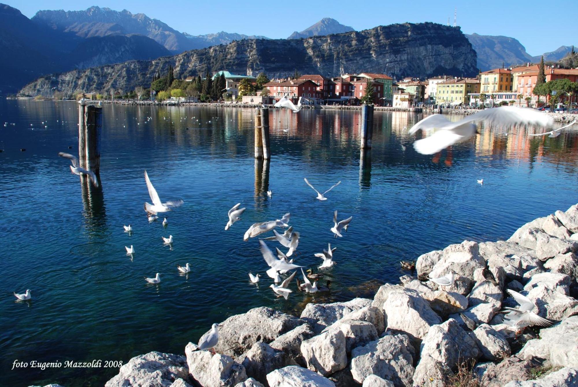 Apartamento Casa Marco Torbole Sul Garda Exterior foto